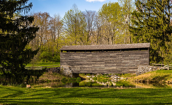 Hess Mill Covered Bridge 3