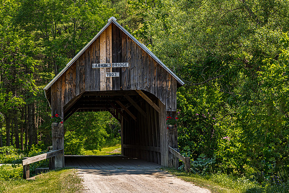 Larkin Covered Bridge 2