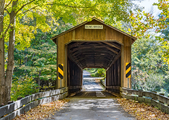 Olins Covered Bridge 1