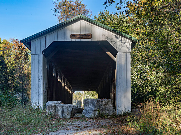 Wheeling Covered Bridge 1