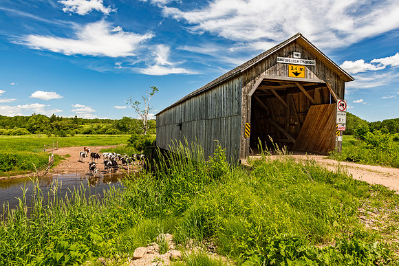 Bamford Covered Bridge 3