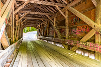Babbs Covered Bridge 2