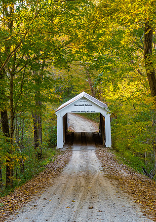 Marshall Covered Bridge 2