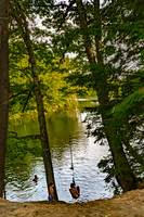 Babbs Covered Bridge Scene