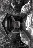 Hern's Mill Covered Bridge 1