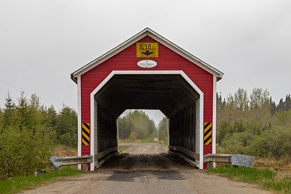 de la Calamite Covered Bridge 1