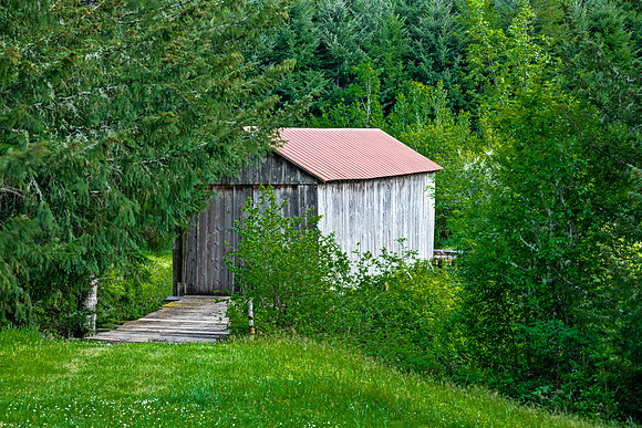 Alva "Doc" Fortner Covered Bridge 1