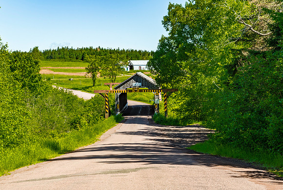 Budd Covered Bridge 1