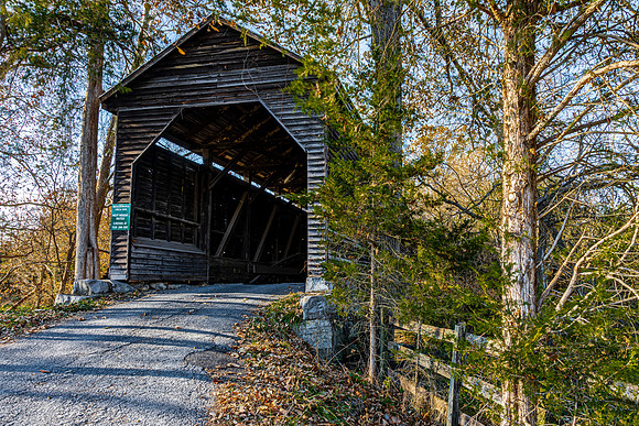 Biedler Farm Covered Bridge 2