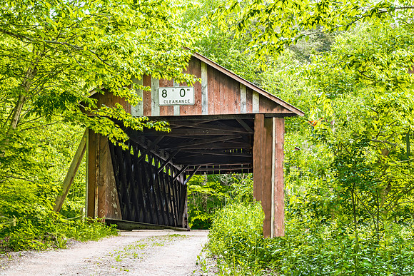 Bendo Covered Bridge 1