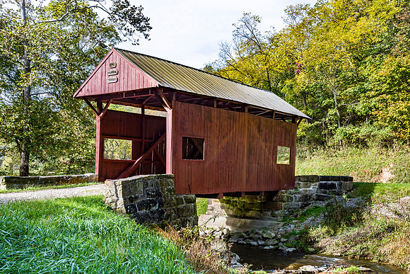 Plant Covered Bridge 1
