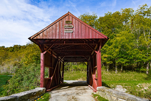 Plant Covered Bridge 2