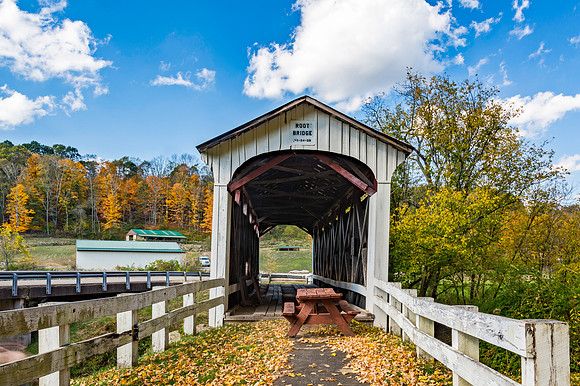 Root Covered Bridge 1