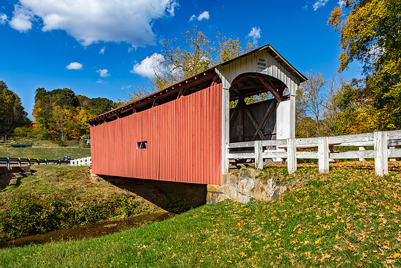 Root Covered Bridge 2