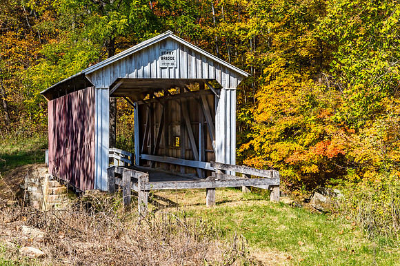 Henry Covered Bridge 1