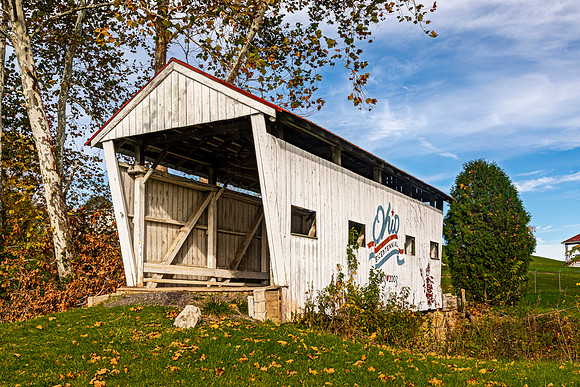 Mill Branch Covered Bridge 1