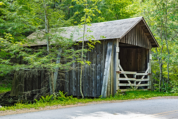 Forge Covered Bridge 1