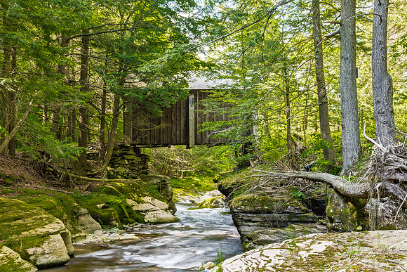 Forge Covered Bridge 6