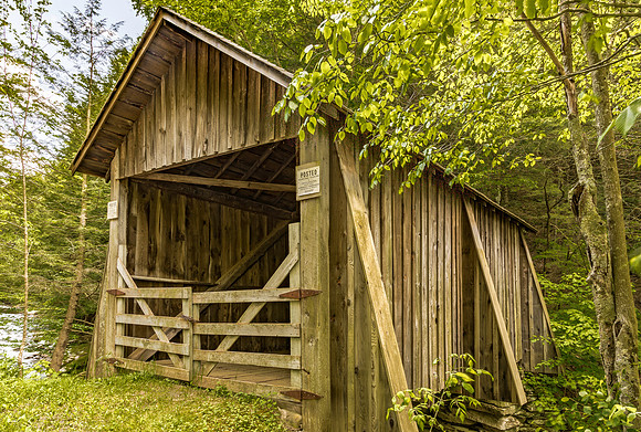 Forge Covered Bridge 4