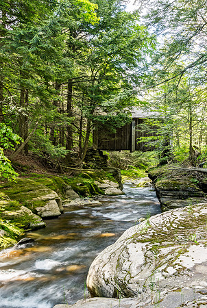 Forge Covered Bridge 5