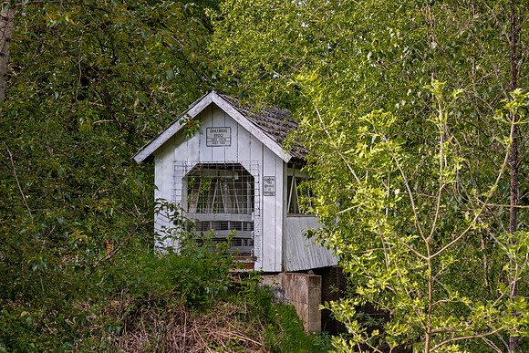 Dahlenberg Covered Bridge 1