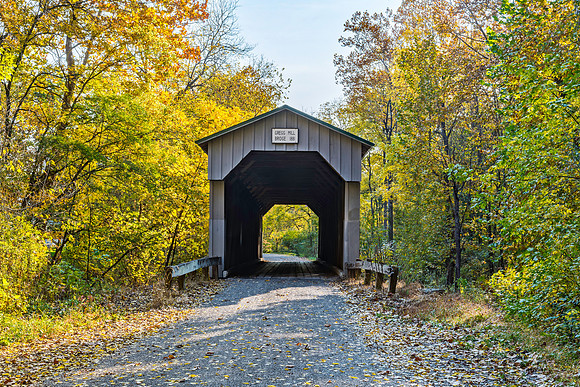 Gregg Mill Covered Bridge 1
