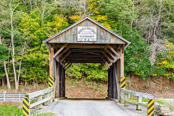 Nettie Wood Covered Bridge 1