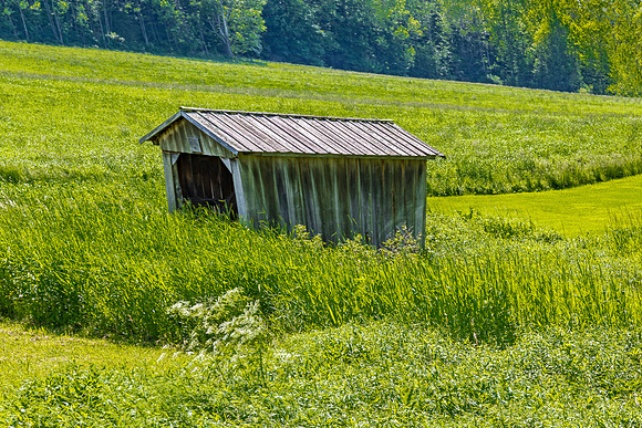 Weiss Farms #2 Covered Bridge 3