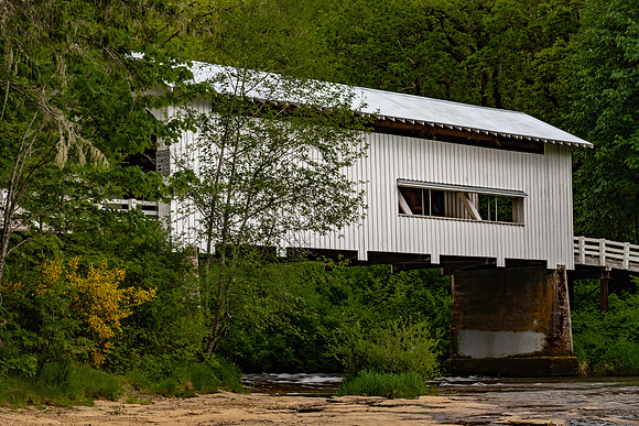 Wildcat Covered Bridge 4