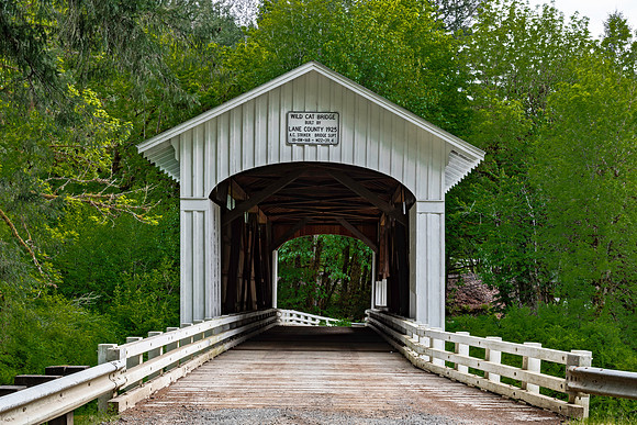 Wildcat Covered Bridge 1