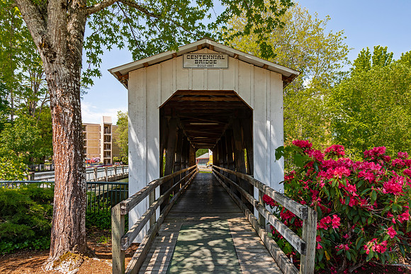 Centennial Covered Bridge 1