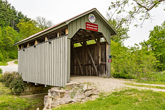 Bluebird Farm Covered Bridge 1
