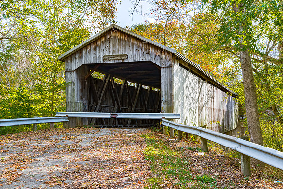 Brown Covered Bridge 1