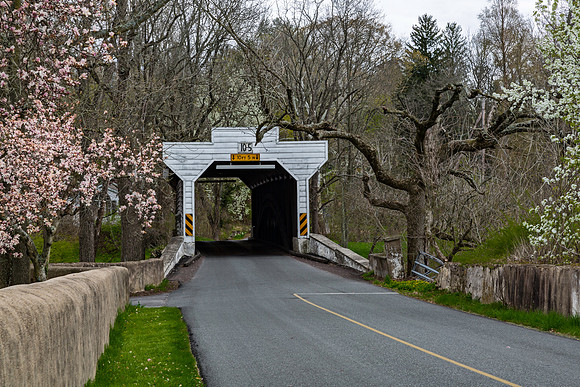 Kennedy Covered Bridge 2