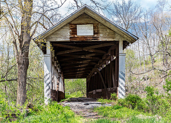 Felton Mill Covered Bridge 1