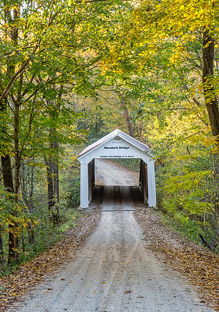 Marshall Covered Bridge 1