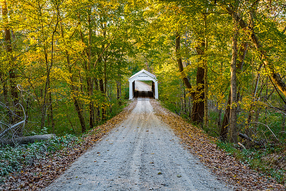 Marshall Covered Bridge 3