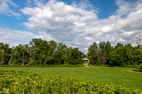 Little Covered Bridge 3