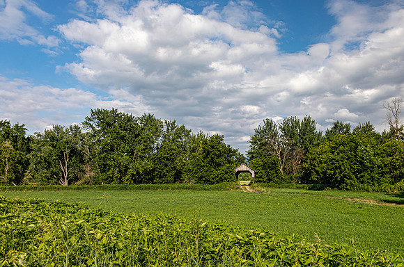 Little Covered Bridge 3