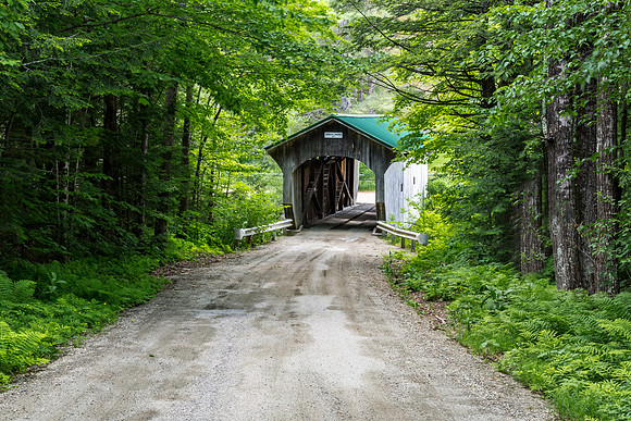 Morgan Covered Bridge 1