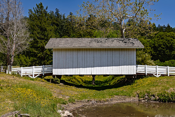 Roaring Camp Covered Bridge 4
